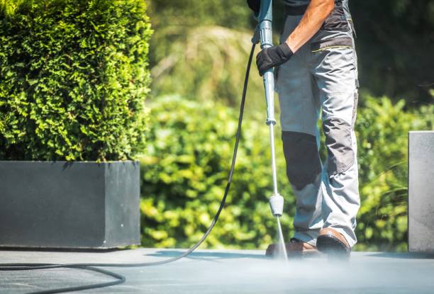 Best Driveway Cleaning and Restoration in Mount Ephraim, NJ