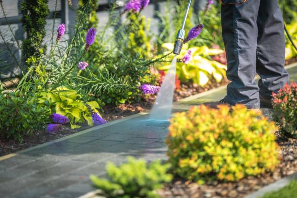 Best Parking Lot Cleaning in Mount Ephraim, NJ